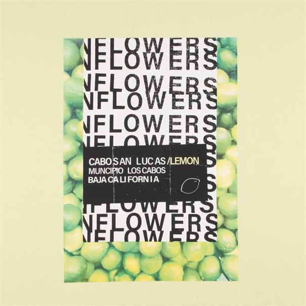 S.OLIVER T-Shirt gelb