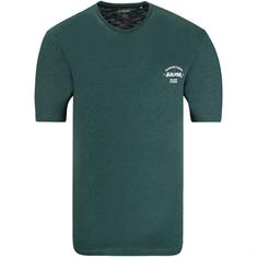 S.OLIVER T-Shirt grün