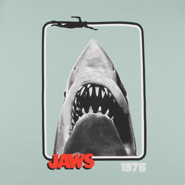 S.OLIVER T-Shirt "JAWS" mint