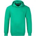 TOMMY HILFIGER Kapuzen-Sweatshirt grün