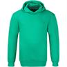 TOMMY HILFIGER Kapuzen-Sweatshirt grün