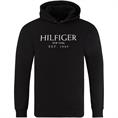 TOMMY HILFIGER Kapuzen-Sweatshirt schwarz