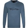 TOMMY HILFIGER Pullover blau