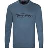 TOMMY HILFIGER Pullover blau