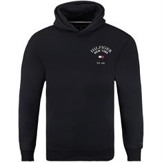 TOMMY HILFIGER Sweatshirt marine