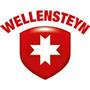 Wellensteyn